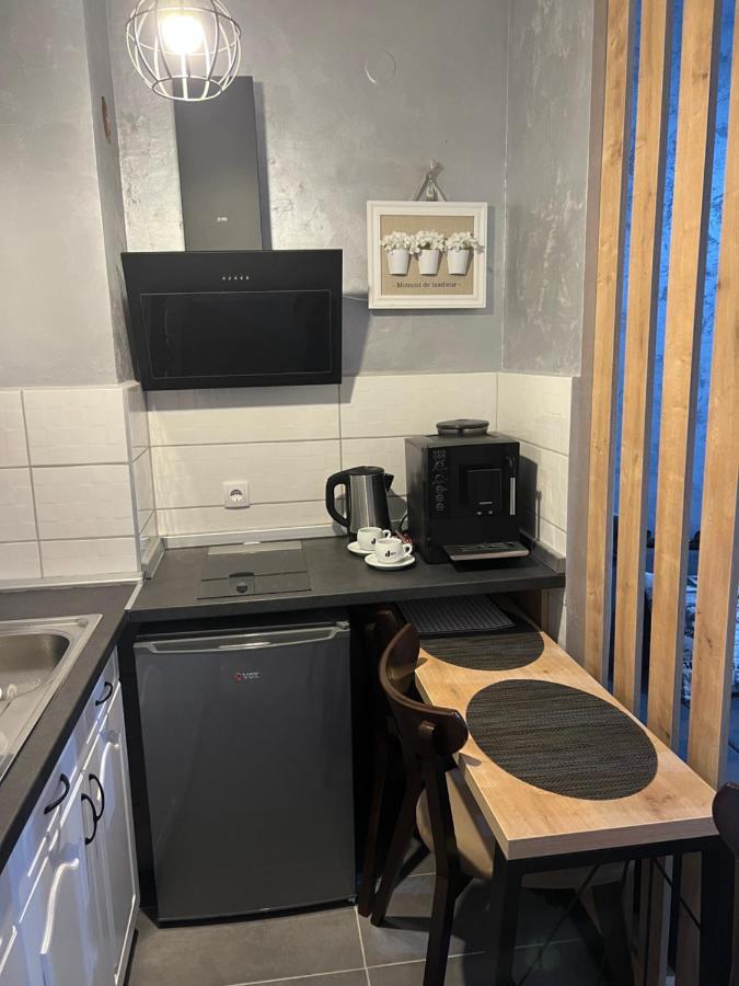 Apartman Didi2- Free Private Parking-Garage نوفي ساد المظهر الخارجي الصورة